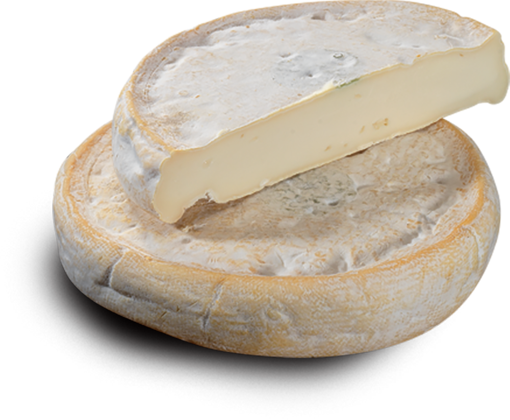 Vente en ligne de Reblochon fermier AOP, fromage de Savoie et Haute-Savoie