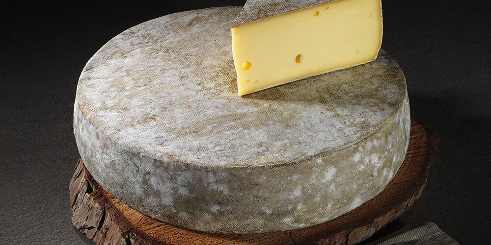 Bon marché 💯 CALICE Cave à fromage mono-température de conservation 😉