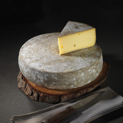 tomme-montagne